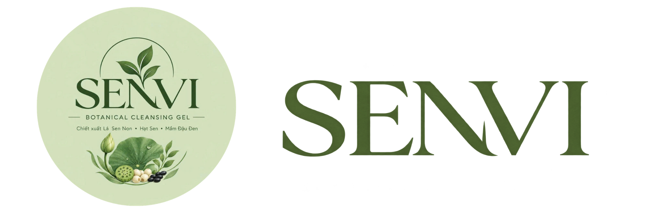 SENVI